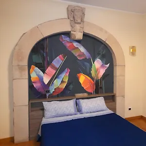 Appartamento Amedei4